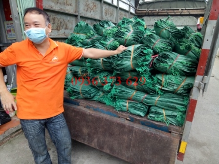 Bao tải dứa vàng | Nhà sản xuất và cung cấp Minh Sơn MSC